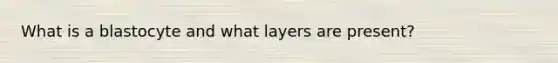 What is a blastocyte and what layers are present?