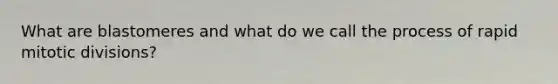 What are blastomeres and what do we call the process of rapid mitotic divisions?