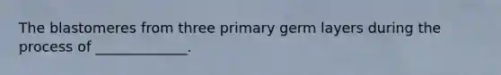 The blastomeres from three primary germ layers during the process of _____________.