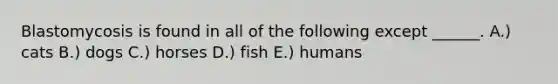 Blastomycosis is found in all of the following except ______. A.) cats B.) dogs C.) horses D.) fish E.) humans
