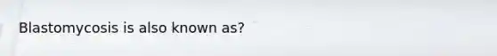 Blastomycosis is also known as?