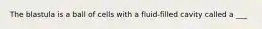 The blastula is a ball of cells with a fluid-filled cavity called a ___
