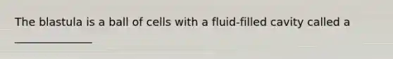 The blastula is a ball of cells with a fluid-filled cavity called a ______________