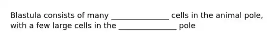Blastula consists of many _______________ cells in the animal pole, with a few large cells in the _______________ pole
