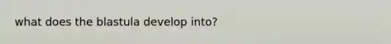 what does the blastula develop into?
