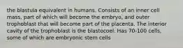 the blastula equivalent in humans. Consists of an inner cell mass, part of which will become the embryo, and outer trophoblast that will become part of the placenta. The interior cavity of the trophoblast is the blastocoel. Has 70-100 cells, some of which are embryonic stem cells