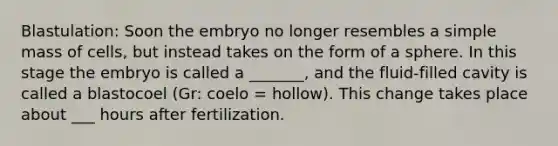 Blastulation: Soon the embryo no longer resembles a simple mass of cells, but instead takes on the form of a sphere. In this stage the embryo is called a _______, and the fluid-filled cavity is called a blastocoel (Gr: coelo = hollow). This change takes place about ___ hours after fertilization.