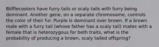 Blifflecooters have furry tails or scaly tails with furry being dominant. Another gene, on a separate chromosome, controls the color of their fur. Purple is dominant over brown. If a brown male with a furry tail (whose father has a scaly tail) mates with a female that is heterozygous for both traits, what is the probability of producing a brown, scaly tailed offspring?