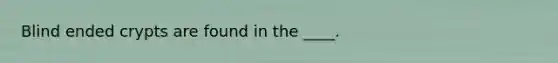 Blind ended crypts are found in the ____.
