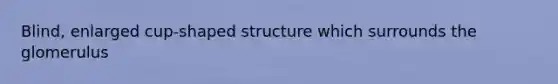 Blind, enlarged cup-shaped structure which surrounds the glomerulus