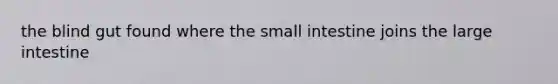 the blind gut found where the small intestine joins the large intestine