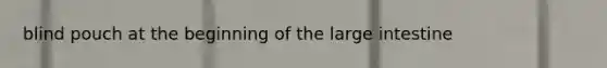 blind pouch at the beginning of the <a href='https://www.questionai.com/knowledge/kGQjby07OK-large-intestine' class='anchor-knowledge'>large intestine</a>