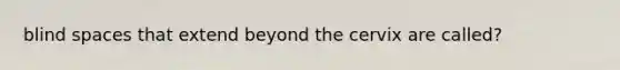 blind spaces that extend beyond the cervix are called?