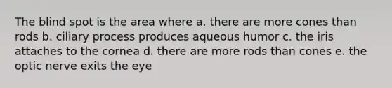 The blind spot is the area where a. there are more cones than rods b. ciliary process produces aqueous humor c. the iris attaches to the cornea d. there are more rods than cones e. the optic nerve exits the eye