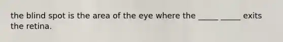 the blind spot is the area of the eye where the _____ _____ exits the retina.