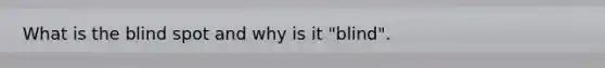 What is the blind spot and why is it "blind".