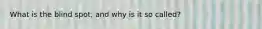 What is the blind spot, and why is it so called?