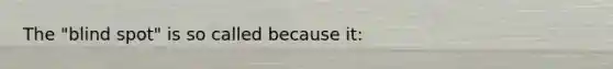 The "blind spot" is so called because it: