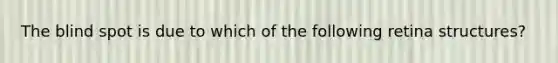 The blind spot is due to which of the following retina structures?