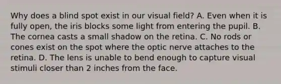 Why does a blind spot exist in our visual field? A. Even when it is fully open, the iris blocks some light from entering the pupil. B. The cornea casts a small shadow on the retina. C. No rods or cones exist on the spot where the optic nerve attaches to the retina. D. The lens is unable to bend enough to capture visual stimuli closer than 2 inches from the face.