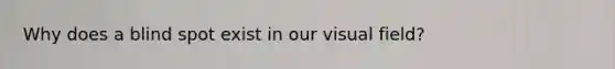 Why does a blind spot exist in our visual field?