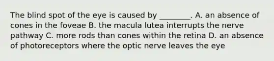 The blind spot of the eye is caused by ________. A. an absence of cones in the foveae B. the macula lutea interrupts the nerve pathway C. more rods than cones within the retina D. an absence of photoreceptors where the optic nerve leaves the eye