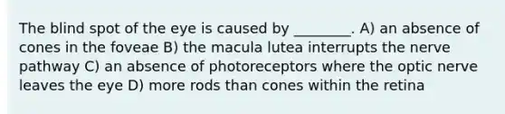 The blind spot of the eye is caused by ________. A) an absence of cones in the foveae B) the macula lutea interrupts the nerve pathway C) an absence of photoreceptors where the optic nerve leaves the eye D) more rods than cones within the retina