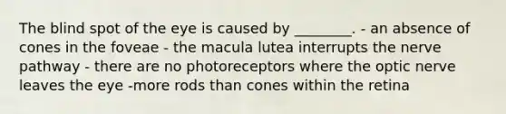 The blind spot of the eye is caused by ________. - an absence of cones in the foveae - the macula lutea interrupts the nerve pathway - there are no photoreceptors where the optic nerve leaves the eye -more rods than cones within the retina