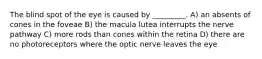 The blind spot of the eye is caused by _________. A) an absents of cones in the foveae B) the macula lutea interrupts the nerve pathway C) more rods than cones within the retina D) there are no photoreceptors where the optic nerve leaves the eye