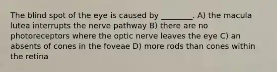 The blind spot of the eye is caused by ________. A) the macula lutea interrupts the nerve pathway B) there are no photoreceptors where the optic nerve leaves the eye C) an absents of cones in the foveae D) more rods than cones within the retina