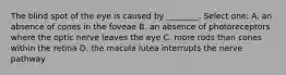 The blind spot of the eye is caused by ________. Select one: A. an absence of cones in the foveae B. an absence of photoreceptors where the optic nerve leaves the eye C. more rods than cones within the retina D. the macula lutea interrupts the nerve pathway