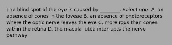 The blind spot of the eye is caused by ________. Select one: A. an absence of cones in the foveae B. an absence of photoreceptors where the optic nerve leaves the eye C. more rods than cones within the retina D. the macula lutea interrupts the nerve pathway