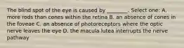 The blind spot of the eye is caused by ________. Select one: A. more rods than cones within the retina B. an absence of cones in the foveae C. an absence of photoreceptors where the optic nerve leaves the eye D. the macula lutea interrupts the nerve pathway