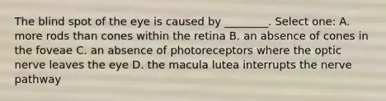 The blind spot of the eye is caused by ________. Select one: A. more rods than cones within the retina B. an absence of cones in the foveae C. an absence of photoreceptors where the optic nerve leaves the eye D. the macula lutea interrupts the nerve pathway