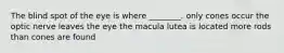 The blind spot of the eye is where ________. only cones occur the optic nerve leaves the eye the macula lutea is located more rods than cones are found