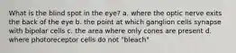 What is the blind spot in the eye? a. where the optic nerve exits the back of the eye b. the point at which ganglion cells synapse with bipolar cells c. the area where only cones are present d. where photoreceptor cells do not "bleach"