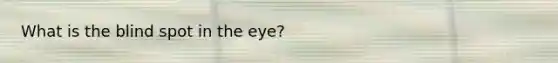 What is the blind spot in the eye?