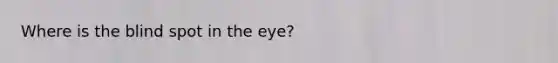 Where is the blind spot in the eye?