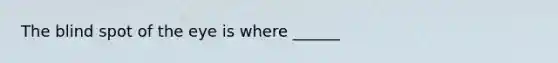 The blind spot of the eye is where ______