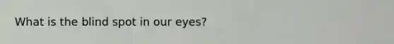 What is the blind spot in our eyes?