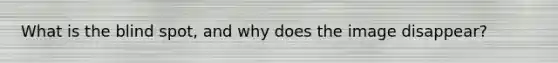 What is the blind spot, and why does the image disappear?