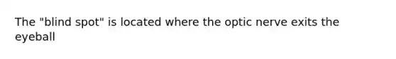 The "blind spot" is located where the optic nerve exits the eyeball