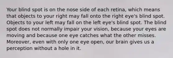 Your blind spot is on the nose side of each retina, which means that objects to your right may fall onto the right eye's blind spot. Objects to your left may fall on the left eye's blind spot. The blind spot does not normally impair your vision, because your eyes are moving and because one eye catches what the other misses. Moreover, even with only one eye open, our brain gives us a perception without a hole in it.