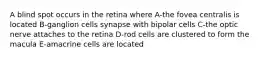 A blind spot occurs in the retina where A-the fovea centralis is located B-ganglion cells synapse with bipolar cells C-the optic nerve attaches to the retina D-rod cells are clustered to form the macula E-amacrine cells are located