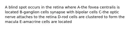 A blind spot occurs in the retina where A-the fovea centralis is located B-ganglion cells synapse with bipolar cells C-the optic nerve attaches to the retina D-rod cells are clustered to form the macula E-amacrine cells are located