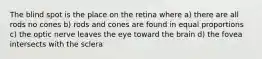 The blind spot is the place on the retina where a) there are all rods no cones b) rods and cones are found in equal proportions c) the optic nerve leaves the eye toward the brain d) the fovea intersects with the sclera