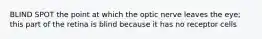 BLIND SPOT the point at which the optic nerve leaves the eye; this part of the retina is blind because it has no receptor cells