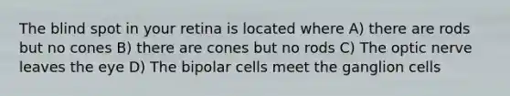 The blind spot in your retina is located where A) there are rods but no cones B) there are cones but no rods C) The optic nerve leaves the eye D) The bipolar cells meet the ganglion cells