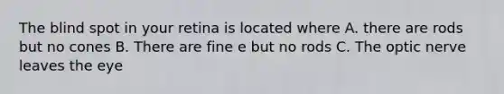 The blind spot in your retina is located where A. there are rods but no cones B. There are fine e but no rods C. The optic nerve leaves the eye