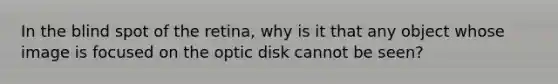 In the blind spot of the retina, why is it that any object whose image is focused on the optic disk cannot be seen?